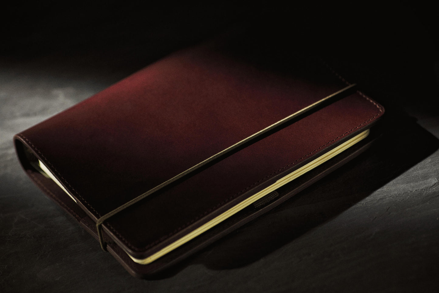 Leather Campgain Journal